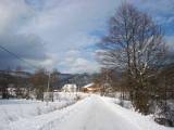 1. Bjelolasica